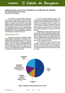 Captura de tela 2014 10 21 às 13.41.05 212x300 - Impactos das novas leis fundiárias na definição de direitos de propriedade no Pará