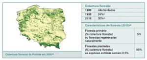 resumodostatusdasflorestas10 300x124 - Um Resumo do Status das Florestas em Países Selecionados