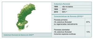 resumodostatusdasflorestas11 300x126 - Um Resumo do Status das Florestas em Países Selecionados