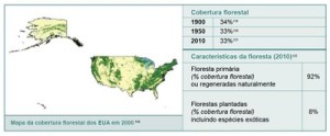 resumodostatusdasflorestas13 300x124 - Um Resumo do Status das Florestas em Países Selecionados