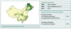 resumodostatusdasflorestas3 1 300x123 - Um Resumo do Status das Florestas em Países Selecionados