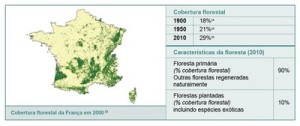 resumodostatusdasflorestas4 300x126 - Um Resumo do Status das Florestas em Países Selecionados