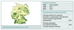 resumodostatusdasflorestas5 300x123 - Um Resumo do Status das Florestas em Países Selecionados