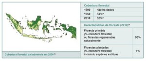 resumodostatusdasflorestas7 300x125 - Um Resumo do Status das Florestas em Países Selecionados