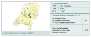 resumodostatusdasflorestas9 300x124 - Um Resumo do Status das Florestas em Países Selecionados