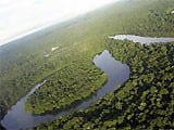 artigocie101 - Logging along the Amazon river and estuary: patterns, problems and potential