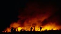 artigocie16 - Compreendendo o significado das queimadas na floresta amazônica