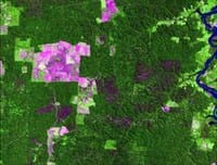 artigocie19 - The role of remote sensing and GIS in enforcement of areas of permanent preservation in the Brazilian Amazon