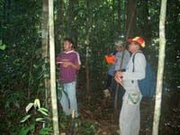 artigocie241 - A summary of research carried out under an ITTO Fellowship to evaluate the use of GIS for the planning of timber extracion in the eastern Amazon