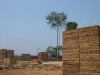 artigocie3 - Wood as an economic catalystic to ecological change in Amazonia