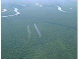 artigocie5 - Identificação de áreas com potencial para a criação de florestas estaduais no Amapá. Relatório Técnico