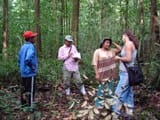 o manejo florestal como estrategia - Manejo forestal empresarial en la Amazonia brasileña. Restricciones y oportunidades para la adopción de buenas prácticas de manejo.