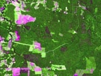 tecnico10 - Monitoramento de indicadores de manejo florestal na Amazônia Legal utilizando sensoriamento remoto