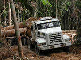 tecnico11 - Brazil&#039;s bold initiative in the Amazon: a proposed new sustem of forest concessions in the brazilian Amazon woud reshape the logging industry there.