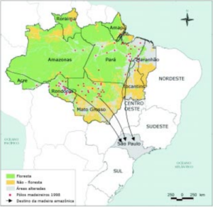 acertando alvo dois19 300x291 - Acertando o Alvo 2: Consumo de Madeira Amazônica e Certificação Florestal no Estado de São Paulo