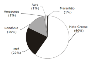 acertando alvo dois3 300x213 - Acertando o Alvo 2: Consumo de Madeira Amazônica e Certificação Florestal no Estado de São Paulo
