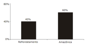 acertando alvo dois33 300x159 - Acertando o Alvo 2: Consumo de Madeira Amazônica e Certificação Florestal no Estado de São Paulo