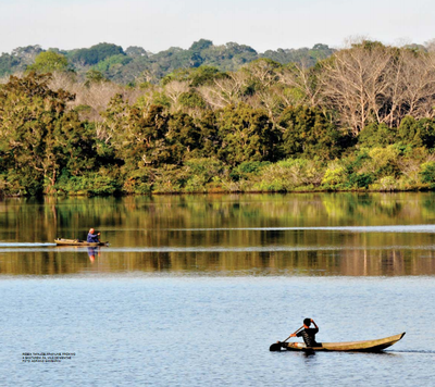 areas protegidas criticas - Áreas Protegidas Críticas na Amazônia Legal