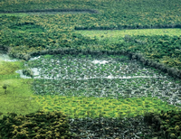 areas protegidas criticas na amazonia legal - Áreas Protegidas Críticas na Amazônia Legal