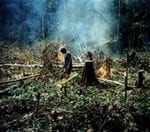 artigocie21 150x132 - Ecological aspects of forest degradation by logging and fire in eastern Amazon