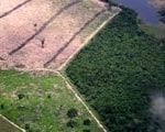 artigocie29 150x120 - Use of Formosat-2 satellite imagery to detect near real time deforestation in Amazonia.
