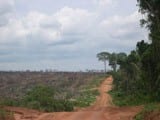 artigocie361 - New Brazilian Environmental Crimes Law: an analysis of its effectiveness to protect the forests of Amazônia