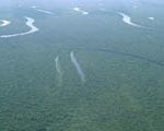 artigocie5 150x120 - Detecção da degradação florestal pela exploração madeireira e queimadas na Amazônia Oriental utilizando imagens de satélite