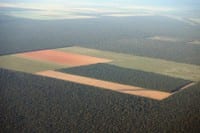 avaliacao do desmatamento e do cadastro - Avaliação do Desmatamento e do Cadastro Ambiental Rural (CAR) no Pará: bases para o Programa Municípios Verdes