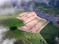 challenges for the environmental - Challenges for the Environmental Crimes Law in Pará.