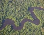 congresso9 150x120 - Conexões entre responsabilização ambiental na Amazônia e combate à mudanças climáticas: um estudo de caso em Mato Grosso.