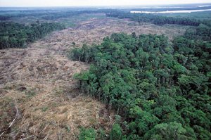 deforestation surinami - Clark Labs and Imazon Assist Conservation International in the Provision of Training and Production of Spatial Models of Future Deforestation in Suriname