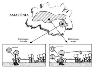 figura1 11 300x222 - Espécies de Árvores Potencialmente Ameaçadas pela Atividade Madeireira na Amazônia Oriental (n° 11)