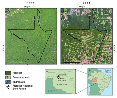 figura11 3 - Como prevenir e punir infrações ambientais em áreas protegidas na Amazônia?
