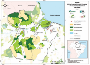 figura19 1 300x218 - Iniciativas de Manejo Florestal Comunitário e Familiar na Amazônia Brasileira 2009/2010