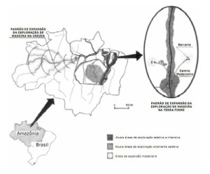figura2 31 300x249 - Uma abordagem Integrada de Pesquisa Sobre o Manejo dos Recursos Naturais na Amazônia (n° 7)