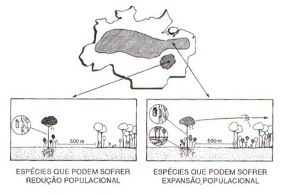 figura2 - A Ameaça à Biodiversidade na Amazônia Oriental (n° 6)