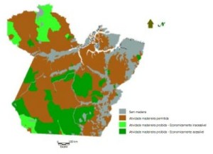 figura3 41 300x217 - Zoneamento da Atividade Madeireira na Amazônia: um estudo de caso para o Estado do Pará (n° 8)