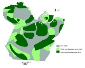 figura4 41 300x241 - Zoneamento da Atividade Madeireira na Amazônia: um estudo de caso para o Estado do Pará (n° 8)