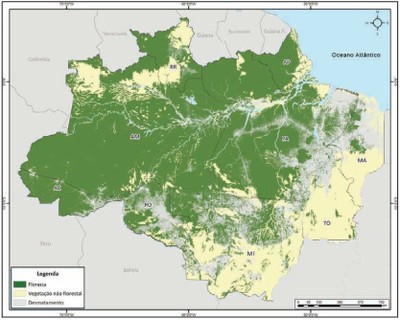 figura40 - A Amazônia e os Objetivos do Milênio 2010