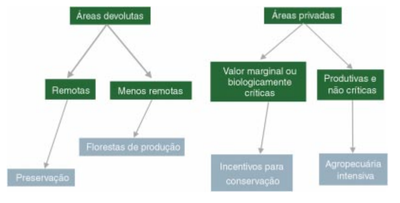 figura6 - Brasil em Ação: Ameaças e Oportunidades Econômicas na Fronteira Amazônica (nº 19)