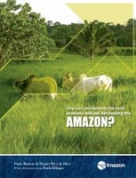 how can one develop - How can one develop the rural economy without deforesting the Amazon?