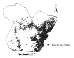 id de areas11 300x234 - Identificação de Áreas com potencial para a Criação de Florestas Nacionais no Estado do Pará