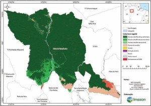 image 18 300x212 - Plano de Manejo da Floresta Estadual de Trombetas