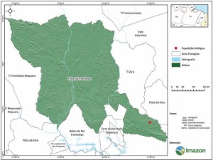 image 45 300x225 - Plano de Manejo da Floresta Estadual de Trombetas