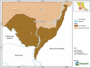 image32 300x225 - Plano de Manejo da Floresta Estadual de Trombetas