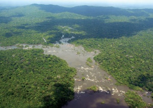 image60 300x211 - Plano de Manejo da Floresta Estadual de Trombetas