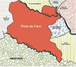 image preview 21 300x265 - Cartilha do Plano de Manejo da Flota de Faro