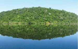 image preview 621 300x188 - Plano de Manejo da Floresta Estadual de Faro