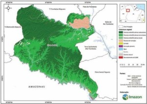 image preview 73 300x212 - Plano de Manejo da Floresta Estadual de Faro
