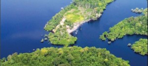 image preview 75 300x135 - Plano de Manejo da Floresta Estadual de Faro